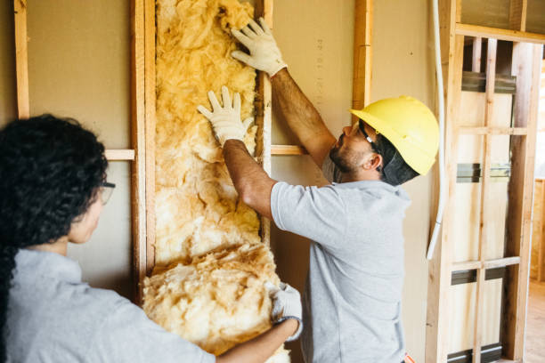 Best Attic Insulation Installation  in Aiea, HI